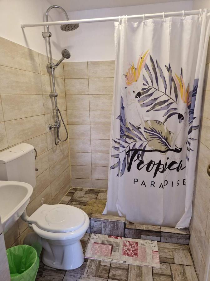 Apartament Pagini Din Vama Vama Veche Zewnętrze zdjęcie