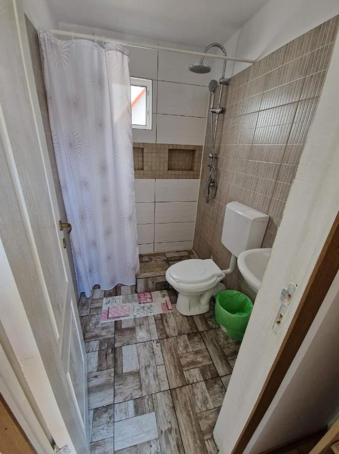 Apartament Pagini Din Vama Vama Veche Zewnętrze zdjęcie