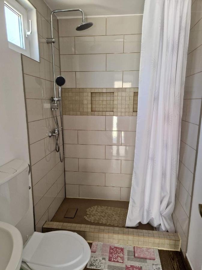 Apartament Pagini Din Vama Vama Veche Zewnętrze zdjęcie